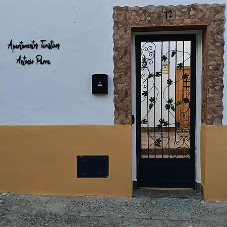 Apartamentos Turisticos A.Parra Jerez de la Frontera Zewnętrze zdjęcie